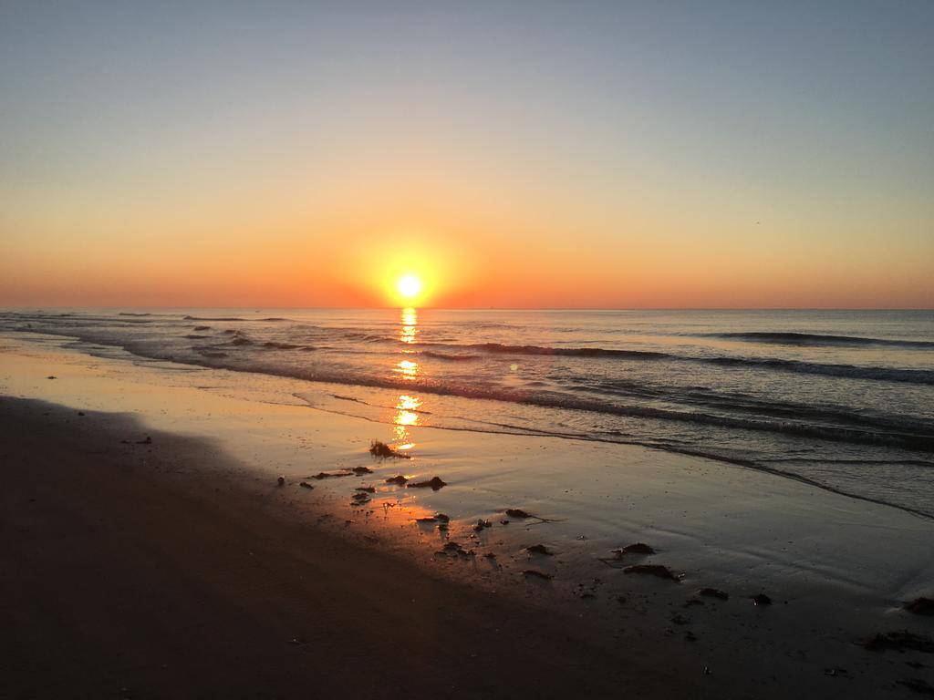 Ocean Village Hotel Surfside Beach Eksteriør billede